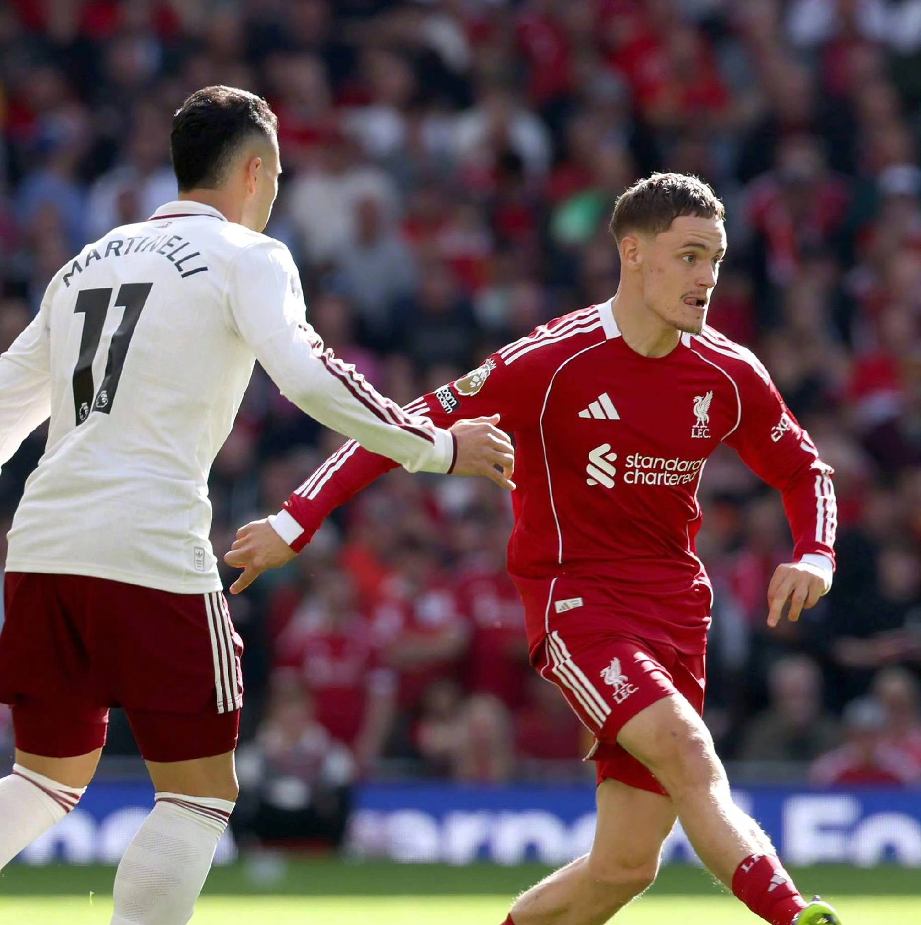 念和专业的 念和专业的