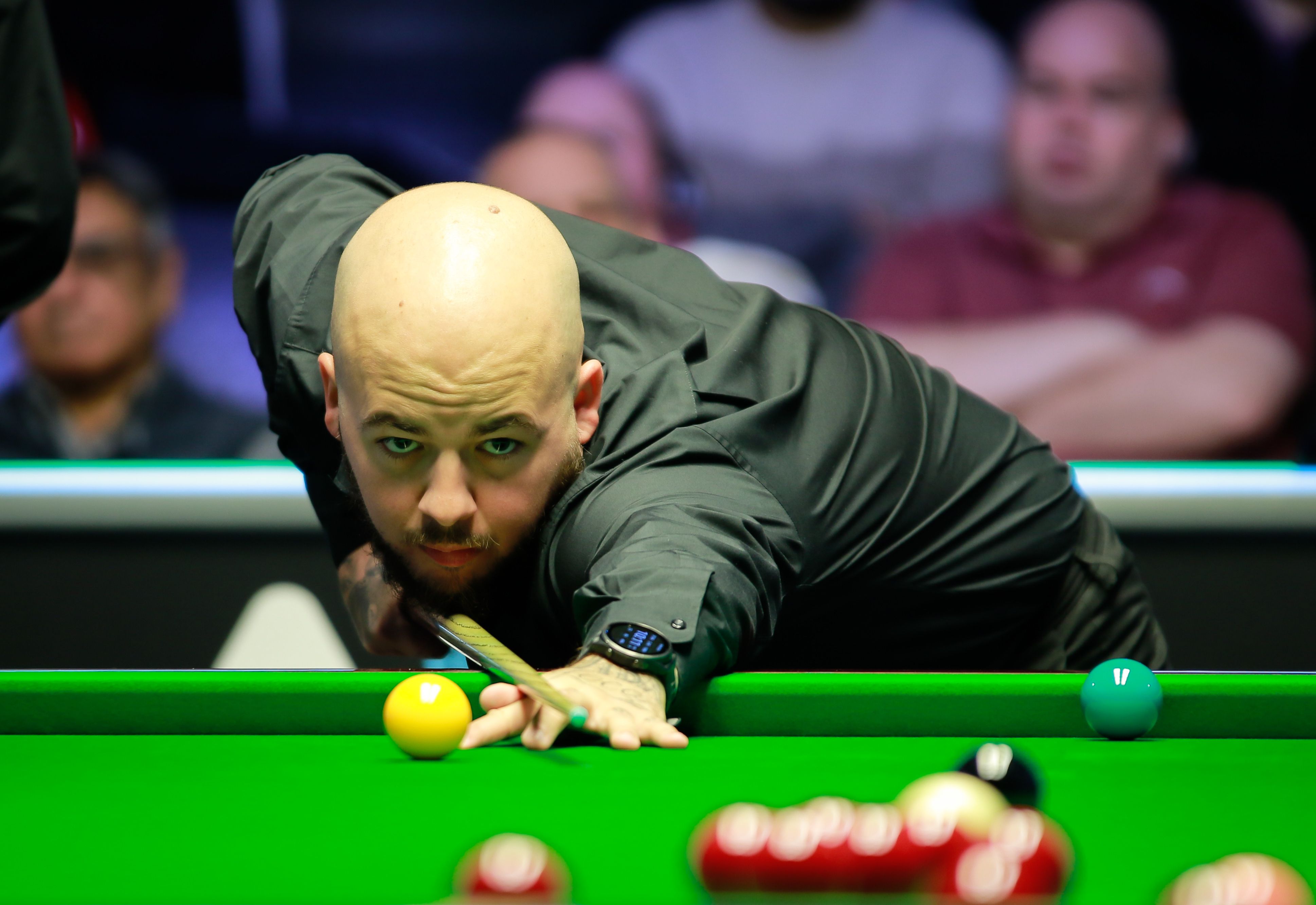 这一表现不 这一表现不